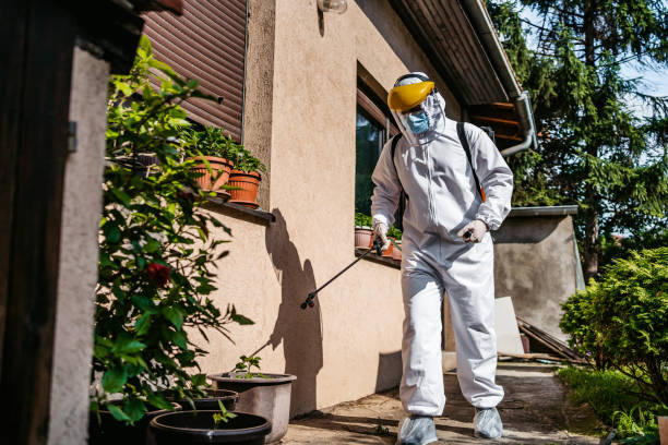 Reliable South Uniontown, PA Pest Control Solutions