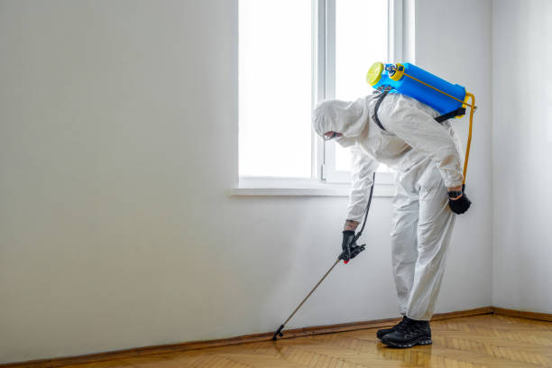Wildlife Control Services in South Uniontown, PA