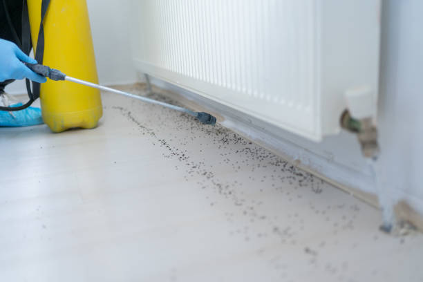 Best Emergency Pest Control  in South Uniontown, PA
