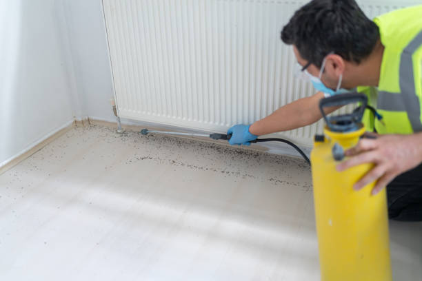 Pest Control Cost in South Uniontown, PA