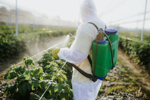 Best Best Pest Control Near Me  in South Uniontown, PA